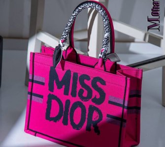 lessy bag